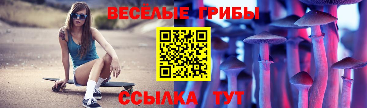 Псилоцибиновые грибы Psilocybine cubensis  Вход с VPN  Нижнекамск  как найти закладки  Псилоцибиновые грибы мицелий 