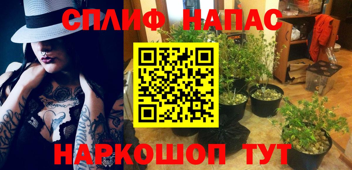 Каннабис планчик Нижнекамск